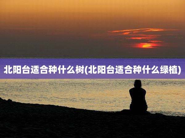 北阳台适合种什么树(北阳台适合种什么绿植)