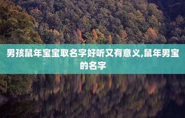 男孩鼠年宝宝取名字好听又有意义,鼠年男宝的名字