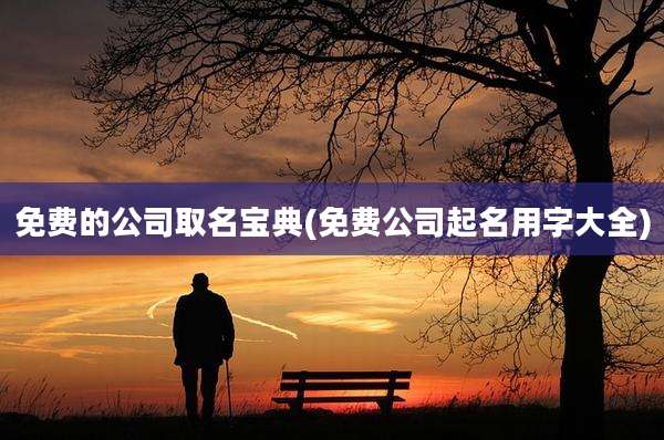 免费的公司取名宝典(免费公司起名用字大全)