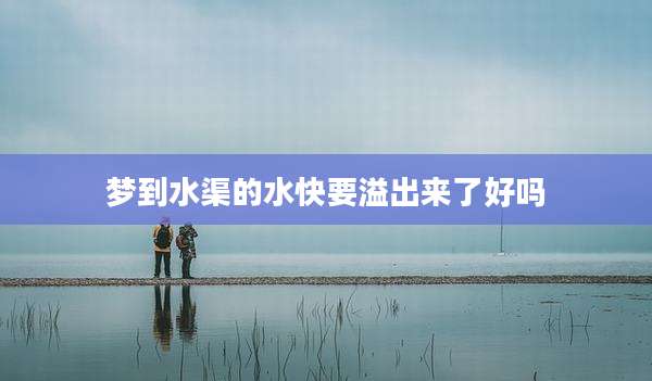 梦到水渠的水快要溢出来了好吗
