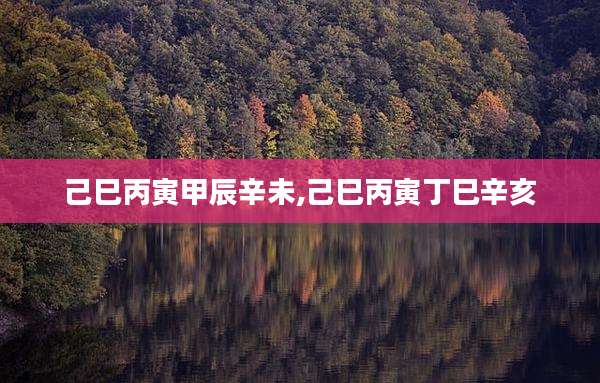 己巳丙寅甲辰辛未,己巳丙寅丁巳辛亥