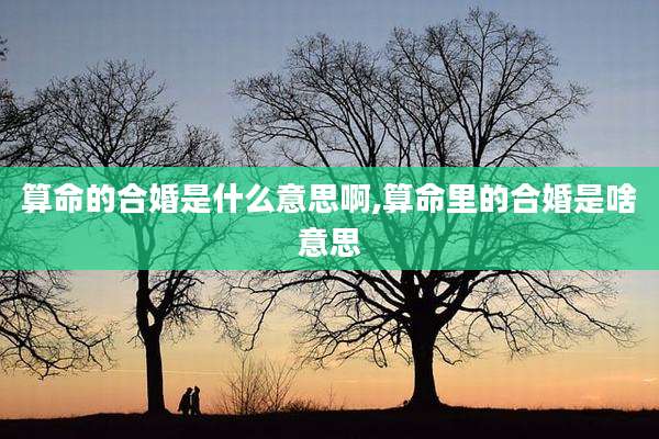 算命的合婚是什么意思啊,算命里的合婚是啥意思