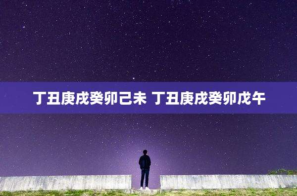 丁丑庚戌癸卯己未 丁丑庚戌癸卯戊午