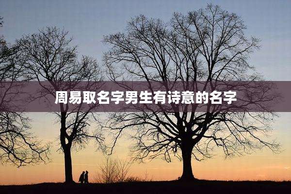 周易取名字男生有诗意的名字