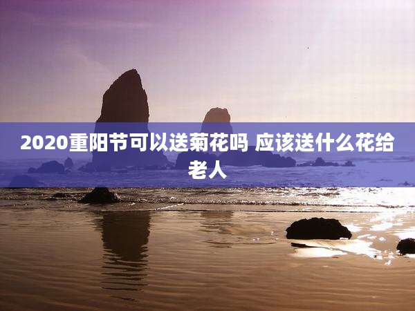 2020重阳节可以送菊花吗 应该送什么花给老人