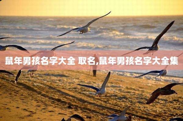鼠年男孩名字大全 取名,鼠年男孩名字大全集