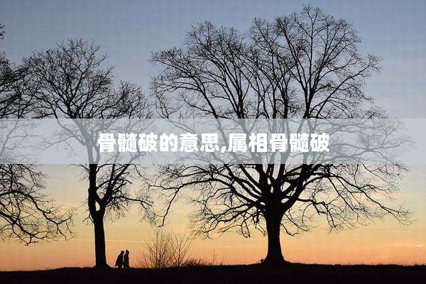 骨髓破的意思,属相骨髓破