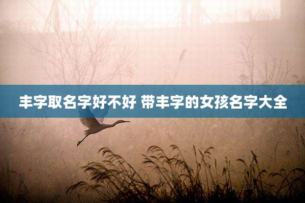 丰字取名字好不好 带丰字的女孩名字大全