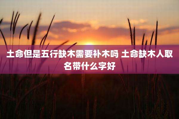 土命但是五行缺木需要补木吗 土命缺木人取名带什么字好