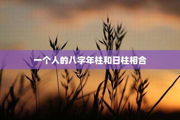 一个人的八字年柱和日柱相合