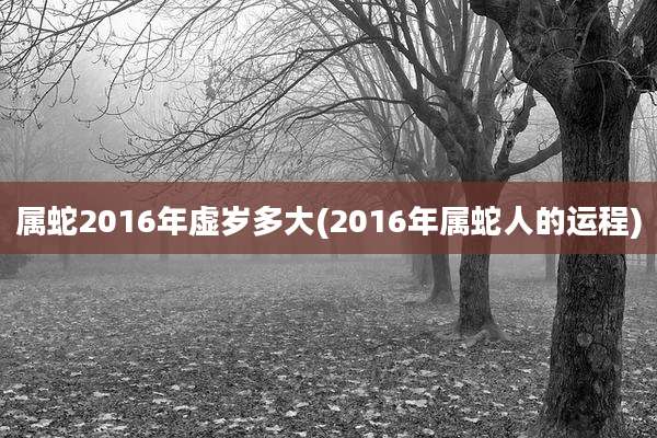 属蛇2016年虚岁多大(2016年属蛇人的运程)