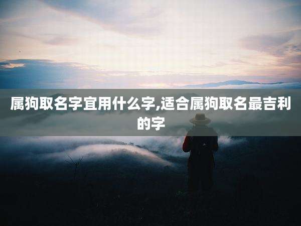 属狗取名字宜用什么字,适合属狗取名最吉利的字
