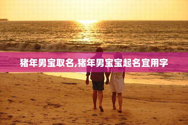 猪年男宝取名,猪年男宝宝起名宜用字