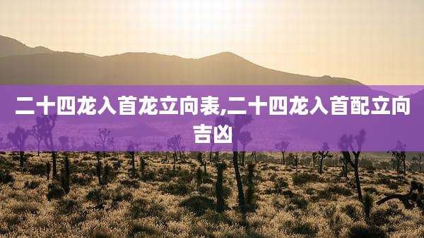 二十四龙入首龙立向表,二十四龙入首配立向吉凶
