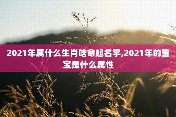 2021年属什么生肖啥命起名字,2021年的宝宝是什么属性