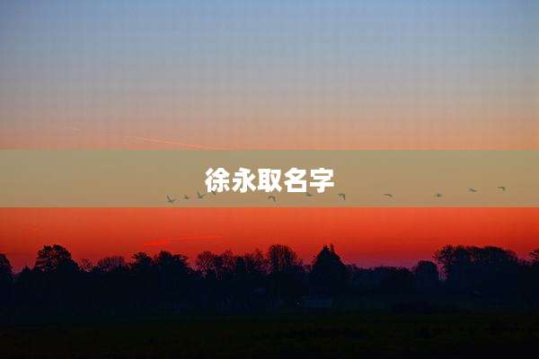 徐永取名字