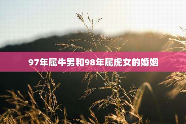 97年属牛男和98年属虎女的婚姻