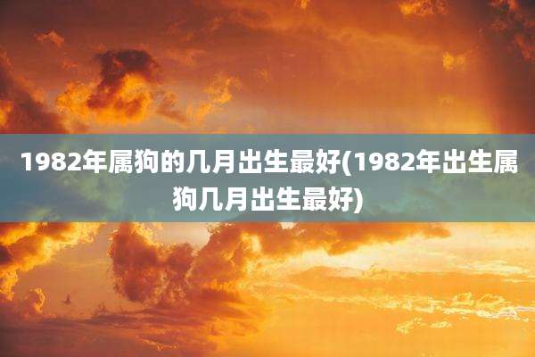 1982年属狗的几月出生最好(1982年出生属狗几月出生最好)