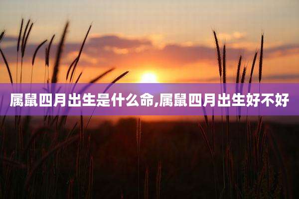 属鼠四月出生是什么命,属鼠四月出生好不好
