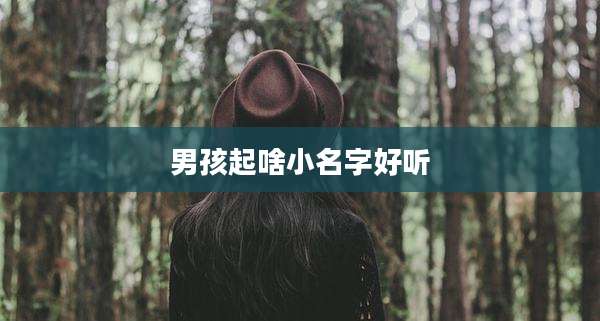 男孩起啥小名字好听