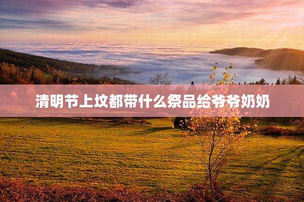 清明节上坟都带什么祭品给爷爷奶奶