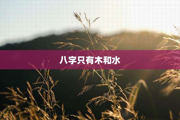 八字只有木和水