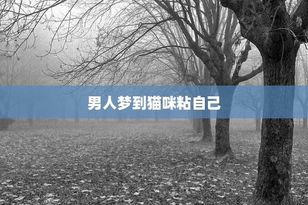 男人梦到猫咪粘自己