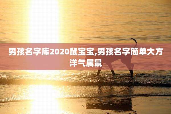 男孩名字库2020鼠宝宝,男孩名字简单大方洋气属鼠