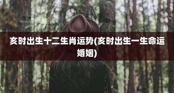 亥时出生十二生肖运势(亥时出生一生命运婚姻)