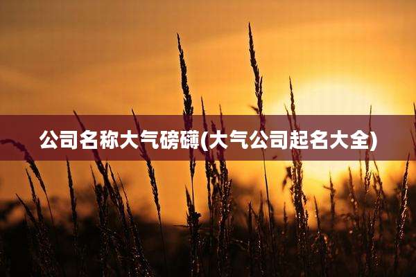 公司名称大气磅礴(大气公司起名大全)