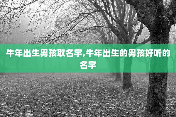 牛年出生男孩取名字,牛年出生的男孩好听的名字