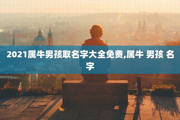 2021属牛男孩取名字大全免费,属牛 男孩 名字