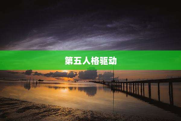 第五人格驱动