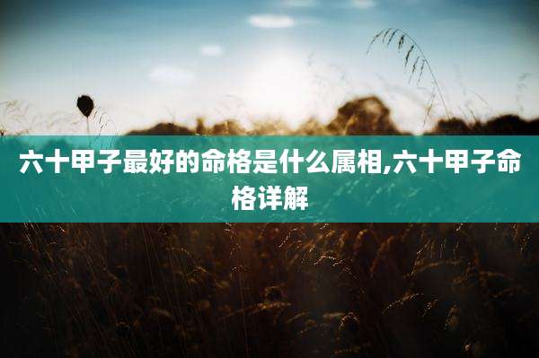 六十甲子最好的命格是什么属相,六十甲子命格详解