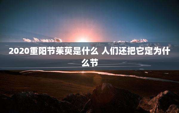 2020重阳节茱萸是什么 人们还把它定为什么节