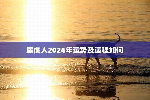 属虎人2024年运势及运程如何