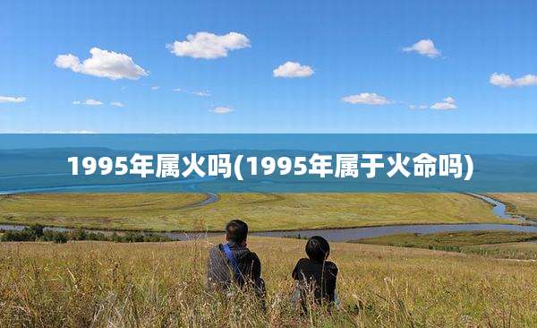 1995年属火吗(1995年属于火命吗)