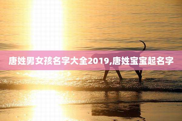 唐姓男女孩名字大全2019,唐姓宝宝起名字