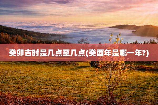 癸卯吉时是几点至几点(癸酉年是哪一年?)