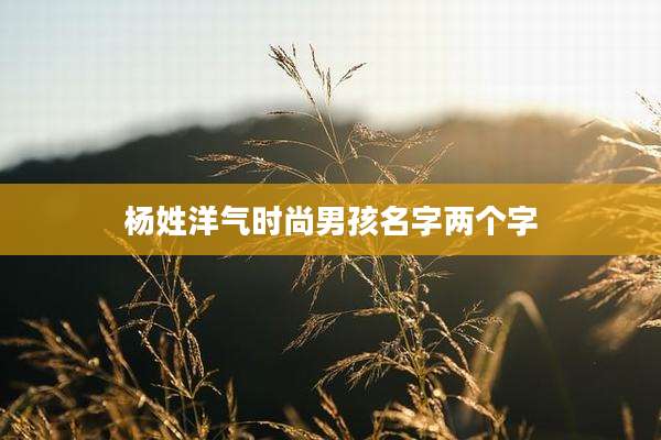 杨姓洋气时尚男孩名字两个字