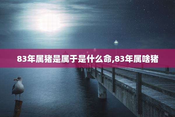 83年属猪是属于是什么命,83年属啥猪