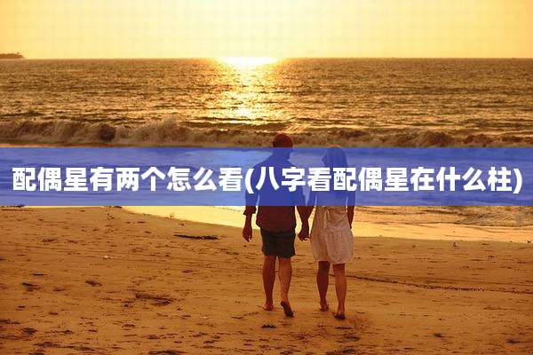 配偶星有两个怎么看(八字看配偶星在什么柱)