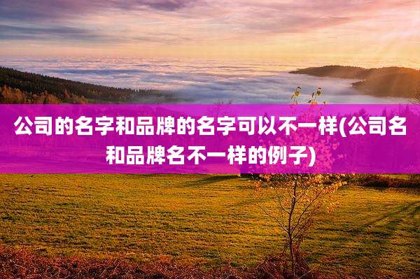 公司的名字和品牌的名字可以不一样(公司名和品牌名不一样的例子)