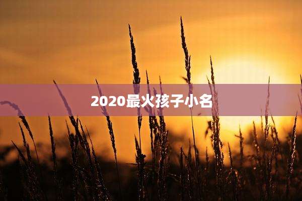2020最火孩子小名