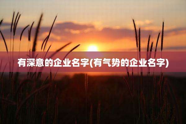 有深意的企业名字(有气势的企业名字)