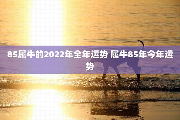 85属牛的2022年全年运势 属牛85年今年运势
