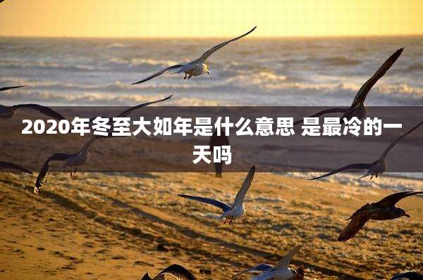 2020年冬至大如年是什么意思 是最冷的一天吗