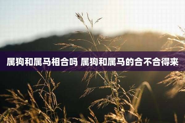 属狗和属马相合吗 属狗和属马的合不合得来