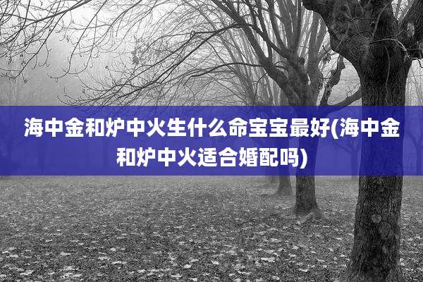 海中金和炉中火生什么命宝宝最好(海中金和炉中火适合婚配吗)