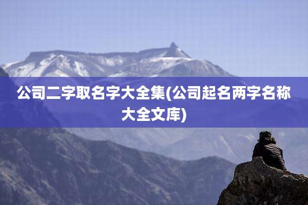 公司二字取名字大全集(公司起名两字名称大全文库)